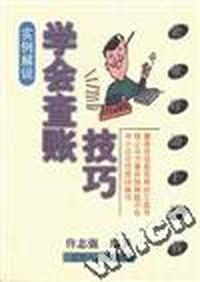 学会查帐技巧