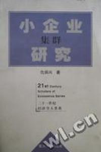 小企业集群研究