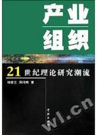 产业组织(21世纪理论研究潮流)