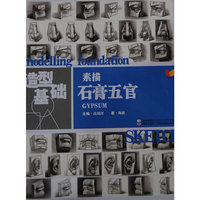 造型基础 陶波 素描石膏五官