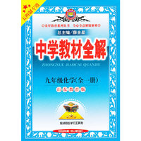中学教材全解工具版-九年级化学(山东教育版)(五四制专用)13