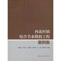 西北村镇综合节水降耗工程案例集