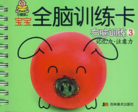 宝宝全脑训练卡：右脑训练3（记忆力·注意力