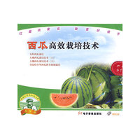 西瓜高效益栽培技术（VCD）