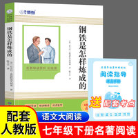 钢铁是怎样炼成的（彩插版）名师注释无障碍经典读物 小学生版四大名著 青少年版课外阅读