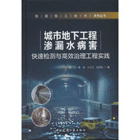 城市地下工程渗漏水病害快速检测与高效治理工程实践