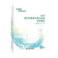 国内外能源与电力价格分析报告 2024