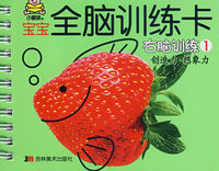 宝宝全脑训练卡：右脑训练1（创造力·想象力