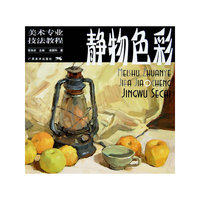 美术专业技法教程——静物色彩