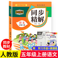 同步精解 语文五年级上册 新版精读笔记升级版 小学五年级语文练习册 课堂笔记五年级上册语文 课本教材课堂同步学霸笔记 学习方法培养 培养学习习惯高效学习书法教程 成语故事