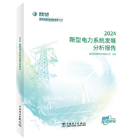 新型电力系统发展分析报告 2024