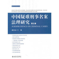 中国疑难刑事名案法理研究(第五卷)