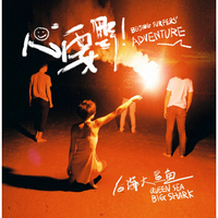 后海大鲨鱼 心要野（CD）