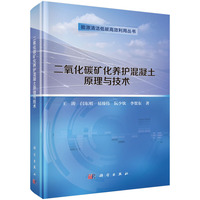 二氧化碳矿化养护混凝土原理与技术9787030843975王涛科学出版社