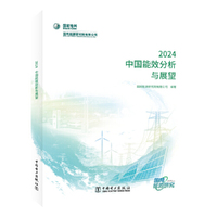 中国能效分析与展望 2024