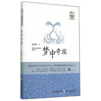 梦中奇旅
