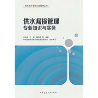 供水漏损管理专业知识与实务