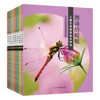 儿童生命教育绘本系列