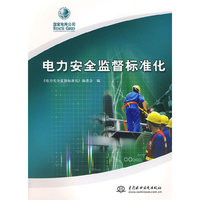 电力安全监督标准化