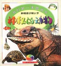 神秘的动物 我的第一本画书