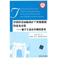 中国经济面临的矿产资源能源约束及对策-基于工业化中期的思考