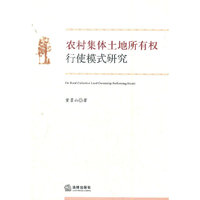 农村集体土地所有权行使模式研究