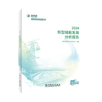 新型储能发展分析报告 2024