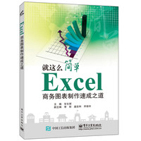 Excel商务图表制作速成之道