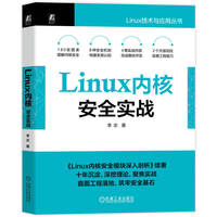 Linux内核安全实战   李志   linux 内核 安全