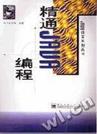 精通JAVA编程
