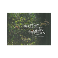 与大自然捉迷藏