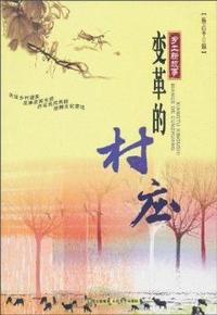 变革的村庄
