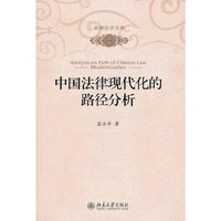中国法律现代化的路径分析