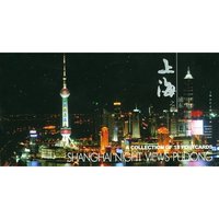 上海之夜—浦东