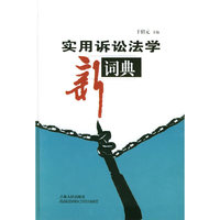 实用诉讼法学新词典