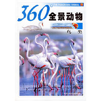 鸟类-360全景动物