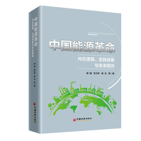 中国能源革命：内在逻辑、实践进展与未来取向