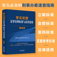常见犯罪定罪量刑标准与法律适用·图解版(立案标准与法律适用·图解版)