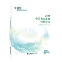 中国电源发展分析报告 2024