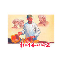 南瓜生蛋的秘密