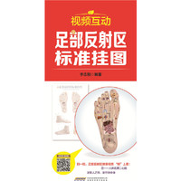 视频互动足部反射我标准挂图