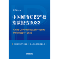中国城市知识产权指数报告（2022）