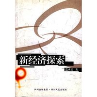 新经济探索