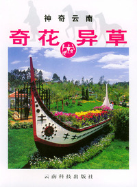 奇花异草--神奇云南