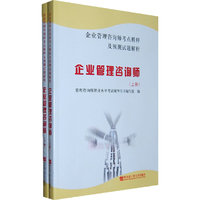 企业管理咨询师考点精粹及预测试题解析-上下册