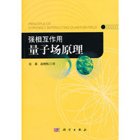 强相互作用量子场原理