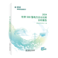 世界500强电力企业比较分析报告 2024
