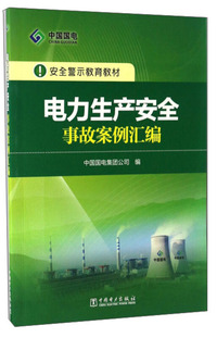 电力生产安全事故案例汇编/安全警示教育教材