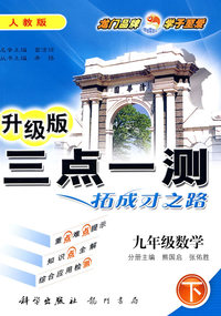 三点一测：九年级数学 下（人教版 升级版）