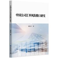中国公司汇率风险敞口研究